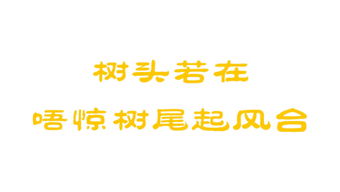 數(shù)字娛樂浪潮下的雙子星 唯覓互娛與天騏互娛的差異化生存之道
